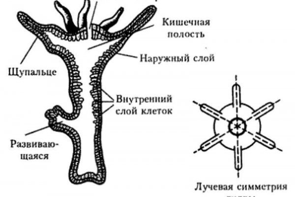 Аналог hydra