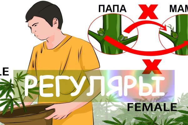 Кракен актуальные
