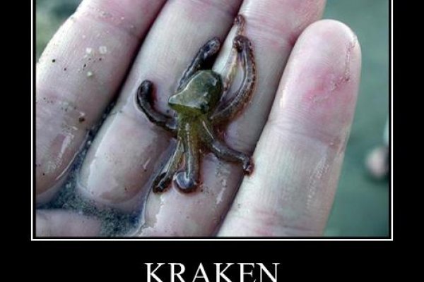 Kraken даркнет что это
